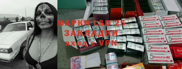 apvp Данков