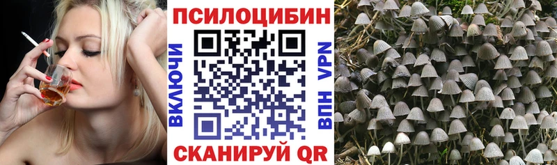 Галлюциногенные грибы мухоморы  Купить где  Дедовск 