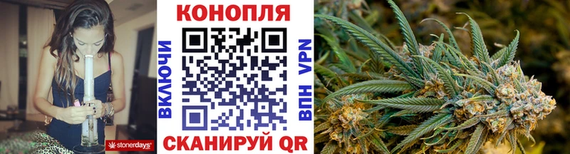 Бошки Шишки план Купить закладки Дедовск